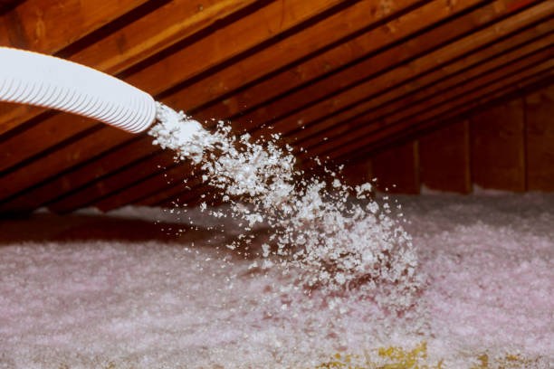 Best Energy Efficiency Solutions in Vinton, LA