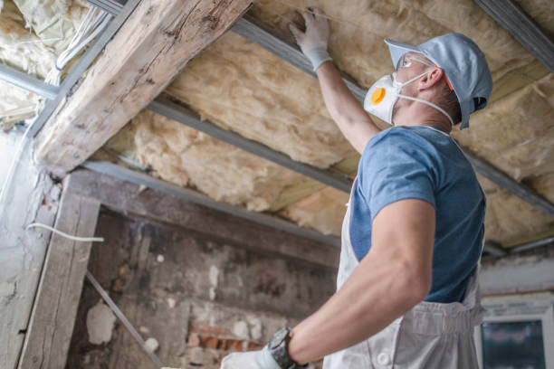 Best Insulation for Specific Applications in Vinton, LA