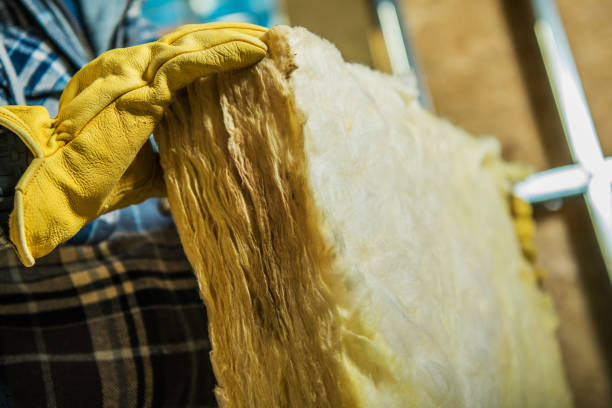 Best Insulation Maintenance and Repair in Vinton, LA