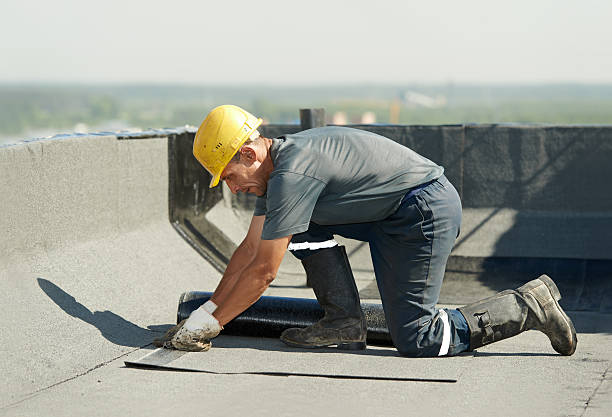 Best Insulation Maintenance and Repair in Vinton, LA